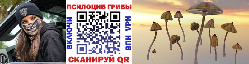 нарко площадка Telegram  Старый Крым  Галлюциногенные грибы прущие грибы 
